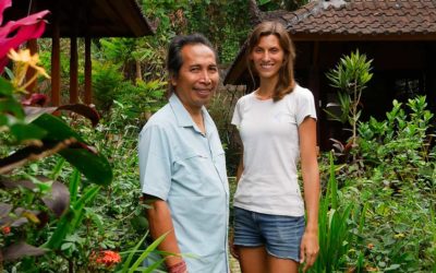 What happens when the rainforest dies?