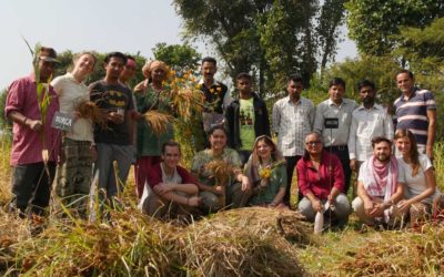 Seeds you plant – The Power of Inspiration and Human Connection at Navdanya