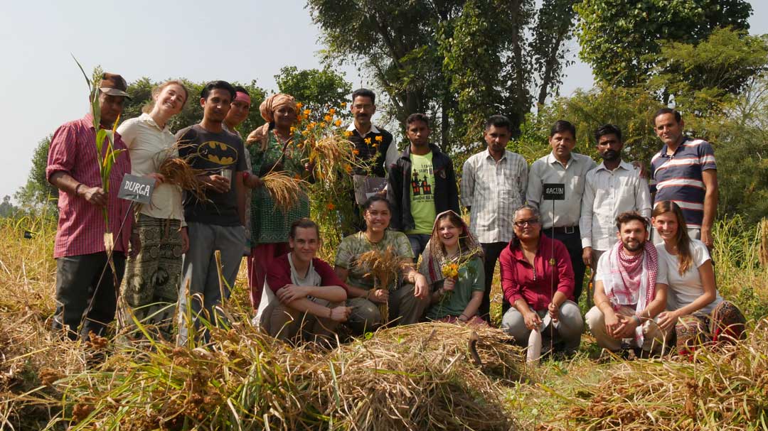 Navdanya India group picture in rice field podcast change & perspective