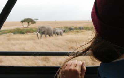 Wie Reisen wir in Zukunft?