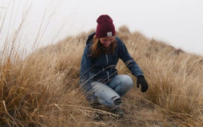Gedanken zum Jahresende – Update und Rückblick auf mein 2019