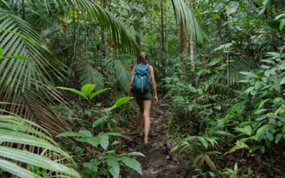 Wie passen Reisen und Schutz von Biodiversität zusammen – Dr. Frauke Fischer?